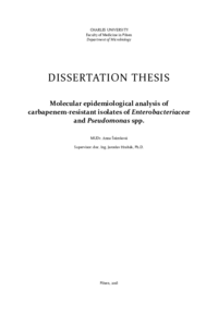Document thumbnail