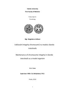 Document thumbnail