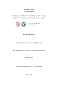 Document thumbnail