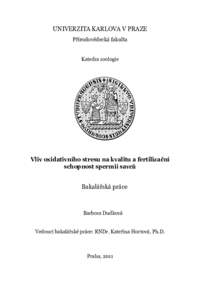 Document thumbnail