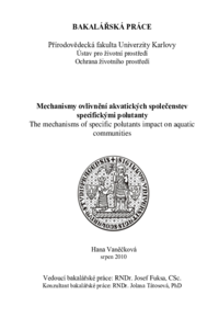Document thumbnail