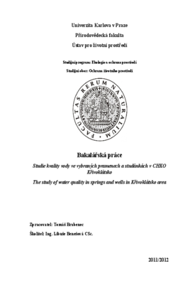 Document thumbnail