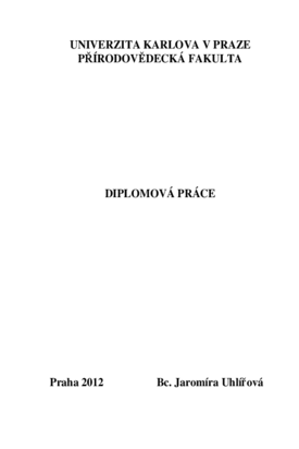 Document thumbnail