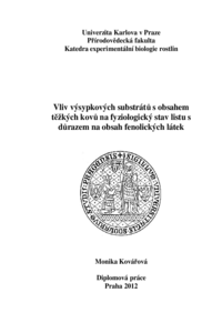 Document thumbnail