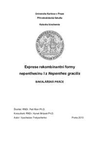 Document thumbnail