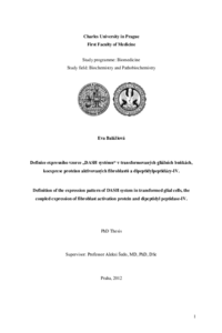 Document thumbnail