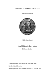 Náhled dokumentu