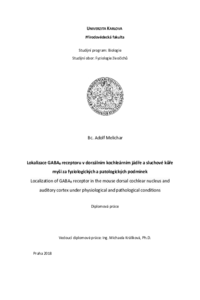 Document thumbnail