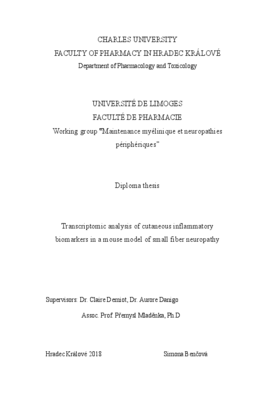 Document thumbnail