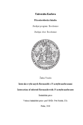 Document thumbnail