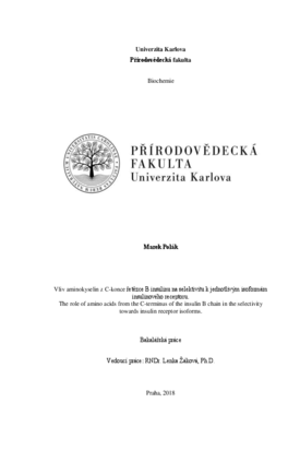 Document thumbnail