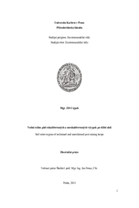 Document thumbnail