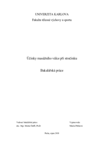 Náhled dokumentu