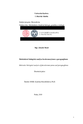 Document thumbnail