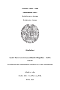 Document thumbnail