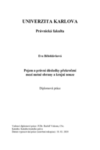 Náhled dokumentu