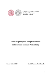 Document thumbnail