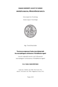 Document thumbnail