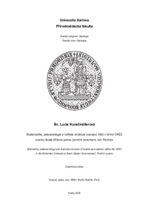 Document thumbnail