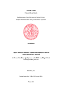 Document thumbnail