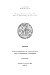 Document thumbnail