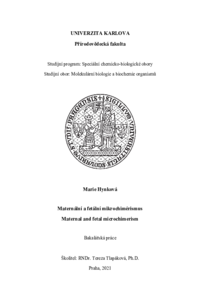 Document thumbnail