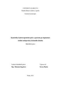 Náhled dokumentu