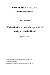 Document thumbnail