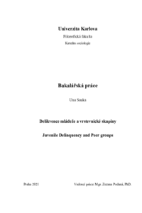 Document thumbnail