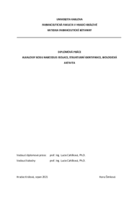 Document thumbnail