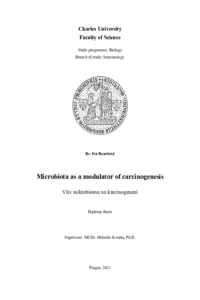 Document thumbnail