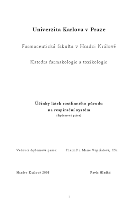 Náhled dokumentu