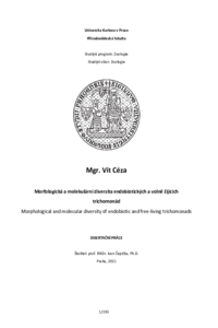 Document thumbnail