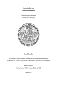 Document thumbnail