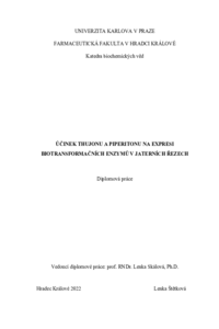 Document thumbnail