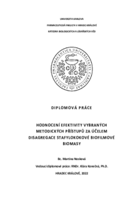 Náhled dokumentu