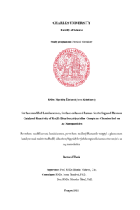 Document thumbnail