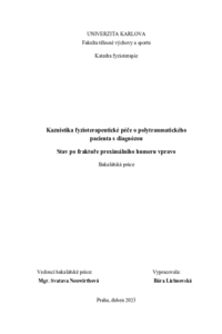 Náhled dokumentu