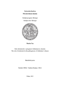 Document thumbnail