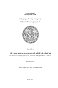 Document thumbnail