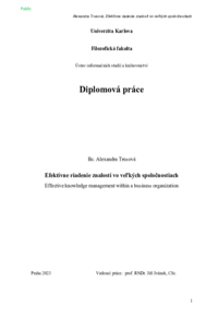Document thumbnail