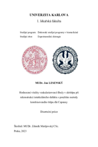 Document thumbnail