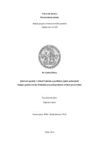 Document thumbnail
