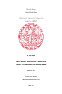 Document thumbnail