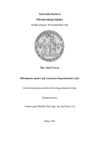 Document thumbnail