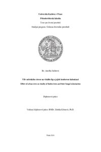 Document thumbnail