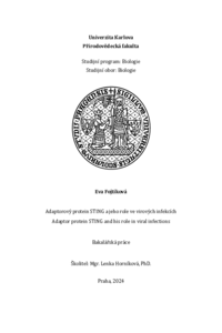 Document thumbnail