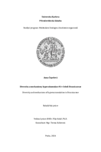 Document thumbnail