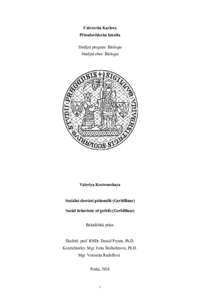 Document thumbnail