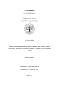 Document thumbnail